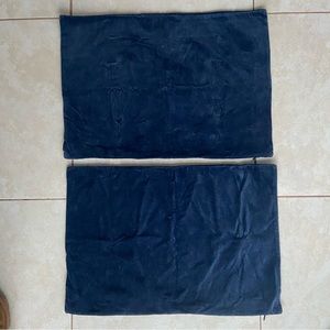 2 velvet pillowcases